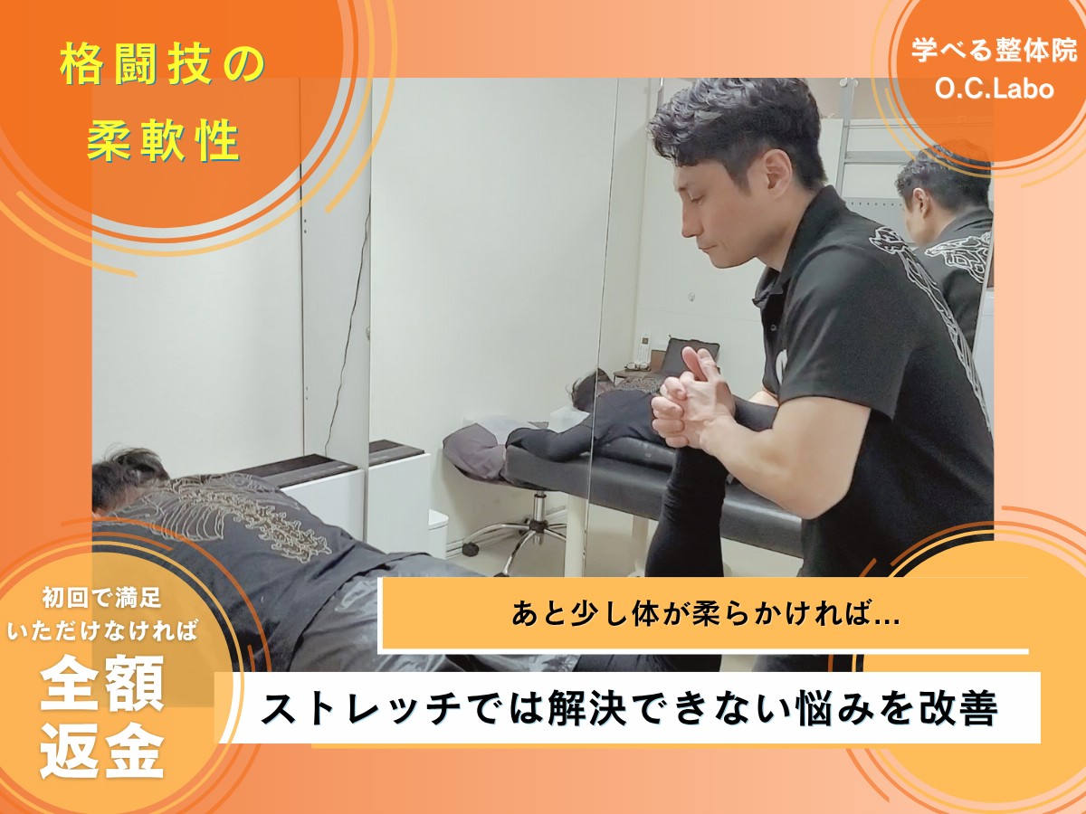 格闘技の柔軟性