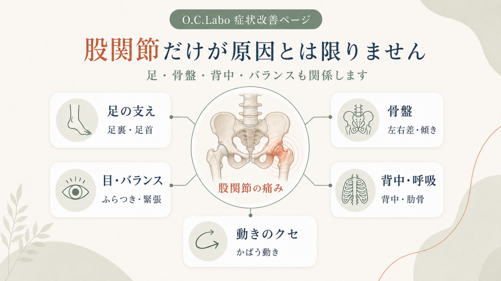股関節痛が足・骨盤・背中・バランスなど全身の動きと関係することを説明する画像