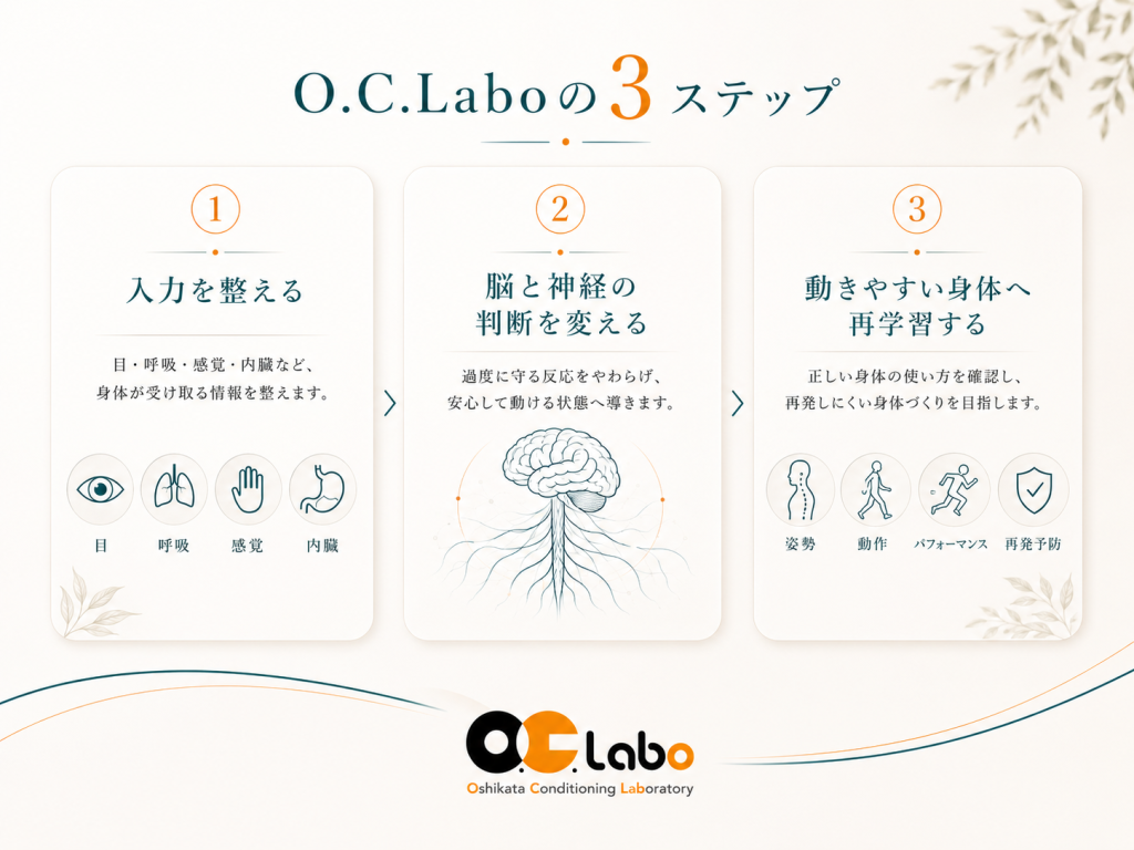 入力を整える、脳と神経の判断を変える、動きやすい身体へ再学習するというO.C.Laboの3ステップを示した図