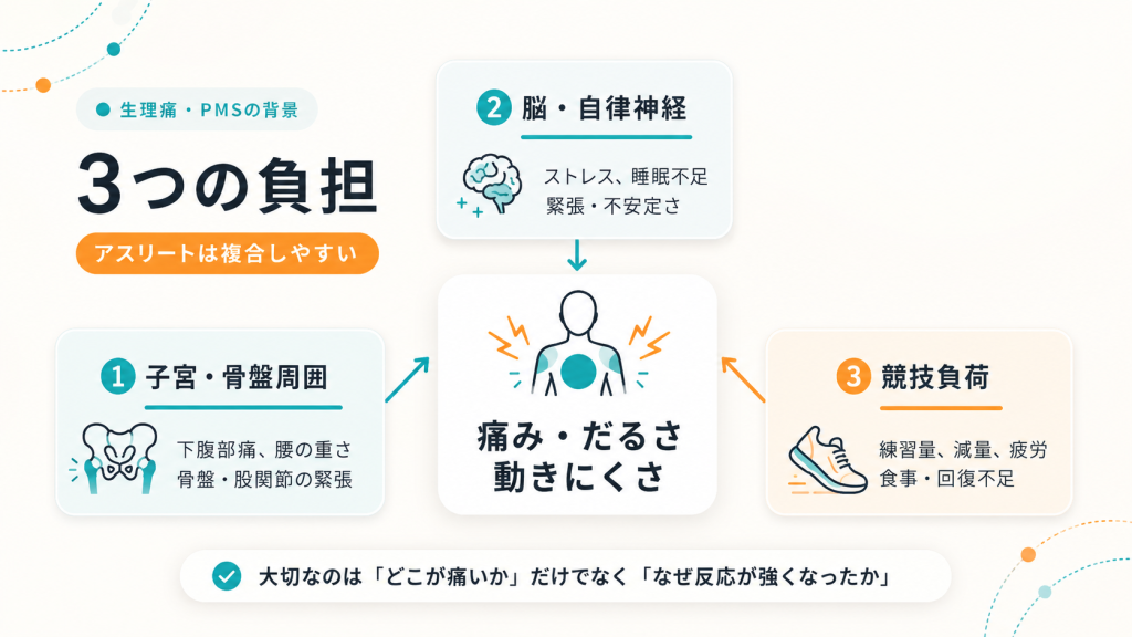 生理痛・PMSを重くする3つの負担。子宮・骨盤周囲、脳・自律神経、競技負荷