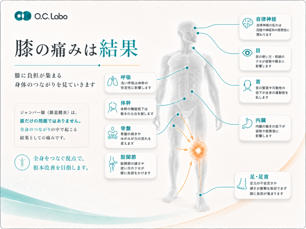 足首、股関節、骨盤、体幹、首、目、自律神経などが膝への負担につながることを示す図
