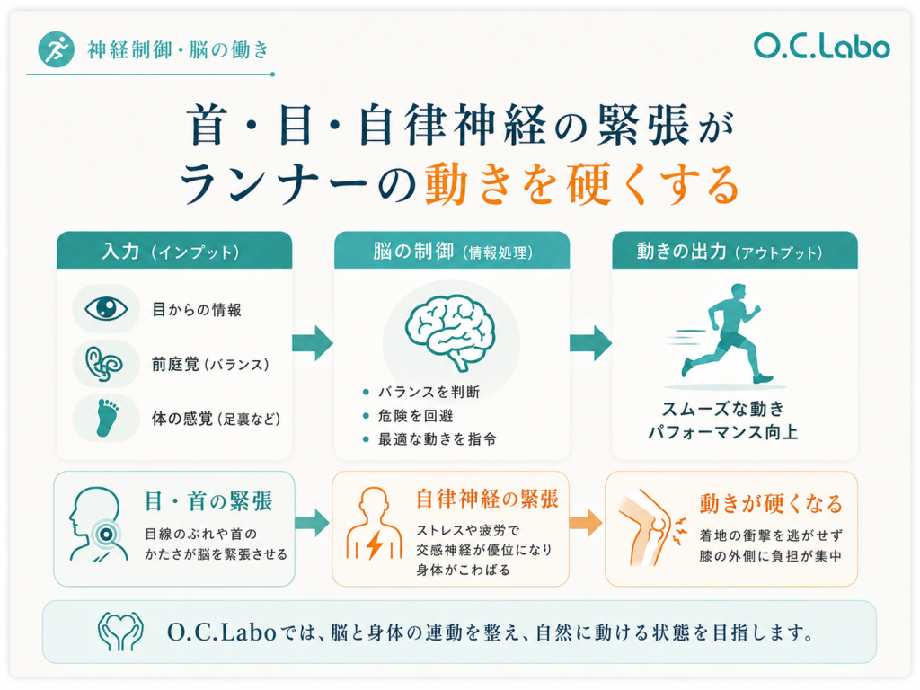 首や目の緊張と自律神経からランナーズニーを見直すO.C.Laboの神経制御