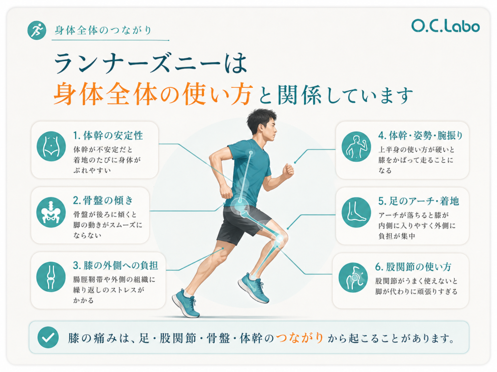 ランナーズニーの原因を足・膝・股関節・骨盤・体幹のつながりから見る図