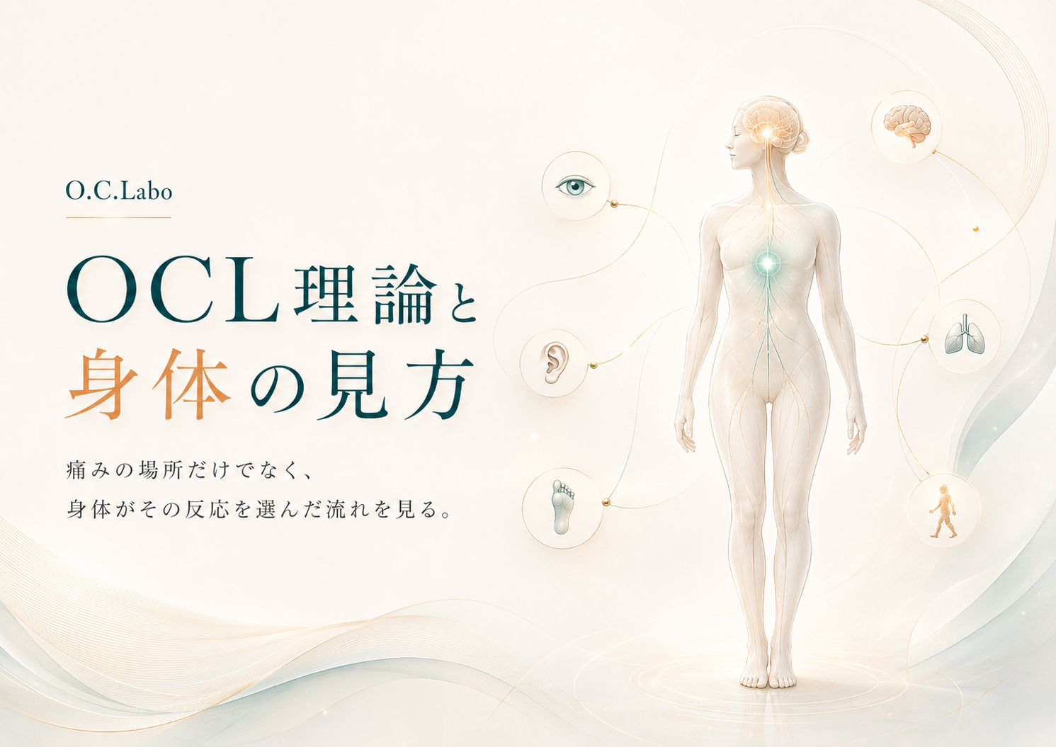 OCL理論と身体の見方。視覚、平衡感覚、足裏、脳・神経、呼吸や身体内部の状態、運動・姿勢が一つの身体につながることを表した図