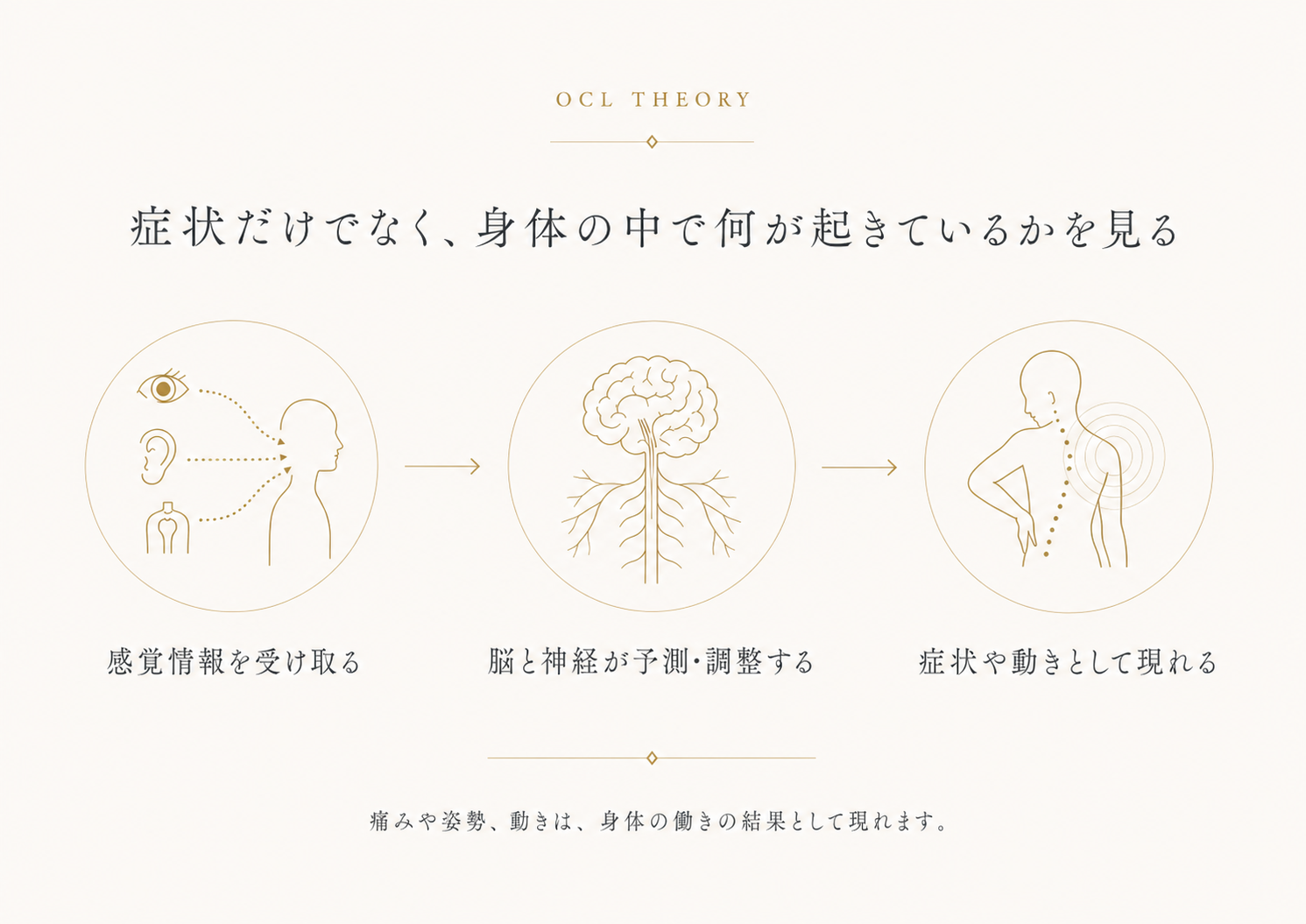 O.C.LaboのOCL理論を、感覚情報の入力、脳と神経の予測・制御、症状や動きとしての出力の流れで示した図