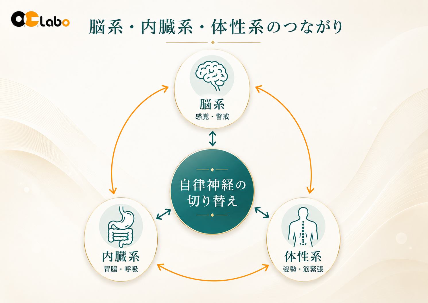 脳系、内臓系、体性系が互いに影響し、自律神経の切り替えに関わる図