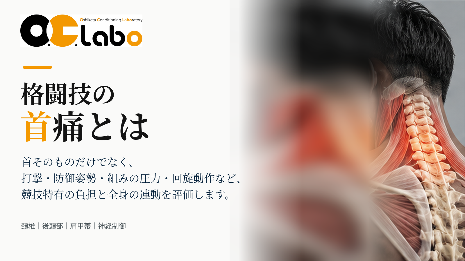 格闘技の首痛とは｜打撃・組み・寝技での負担を分けて確認