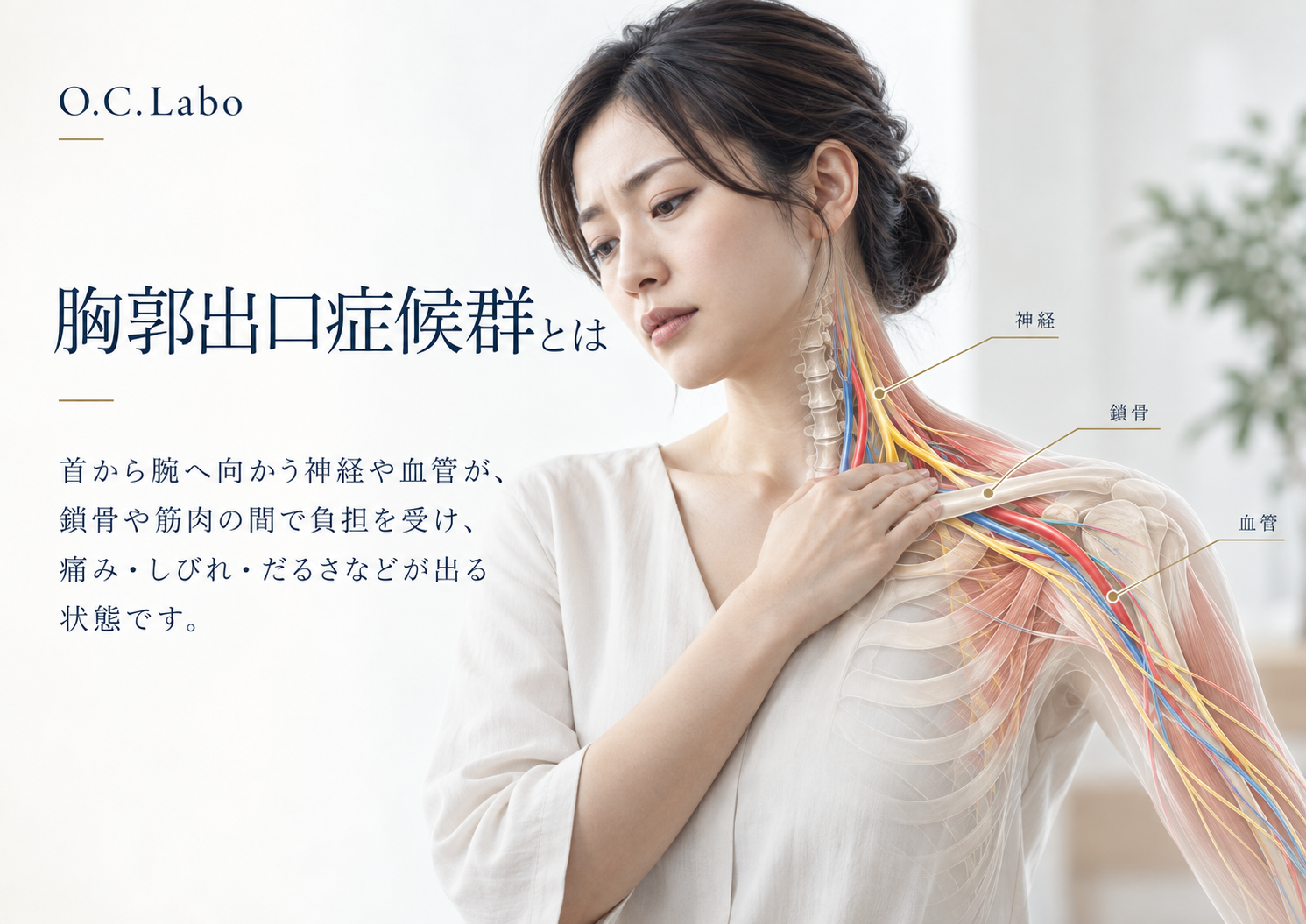 胸郭出口症候群とは｜首から腕へ向かう神経と血管の通り道
