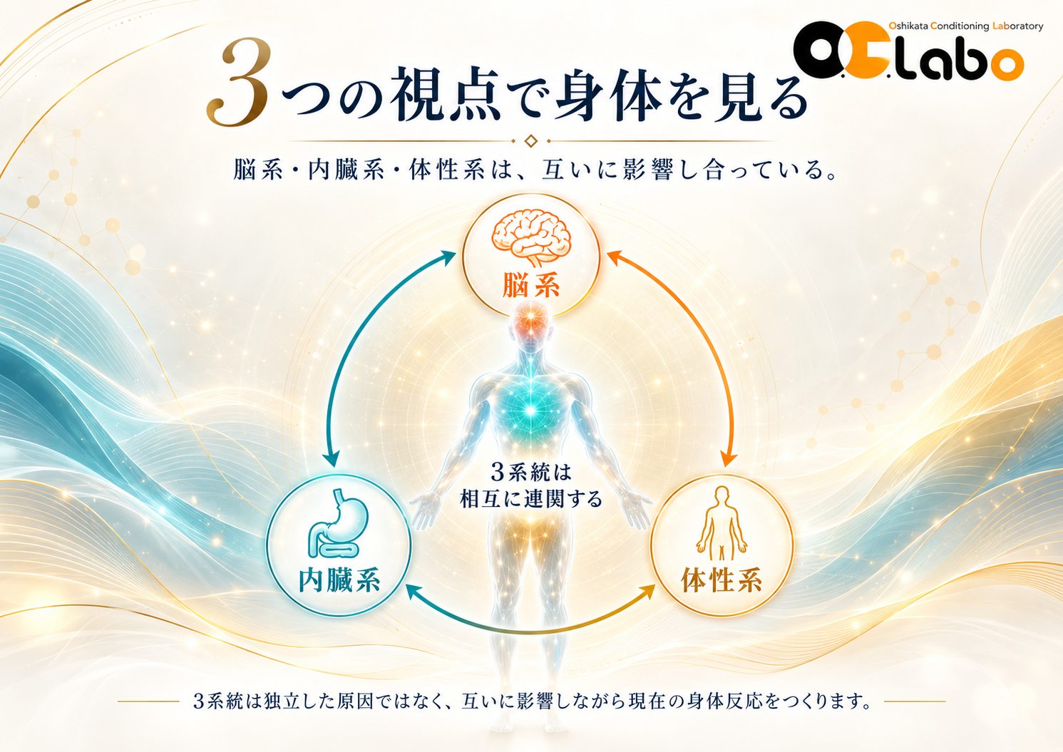O.C.Laboの身体を見る視点