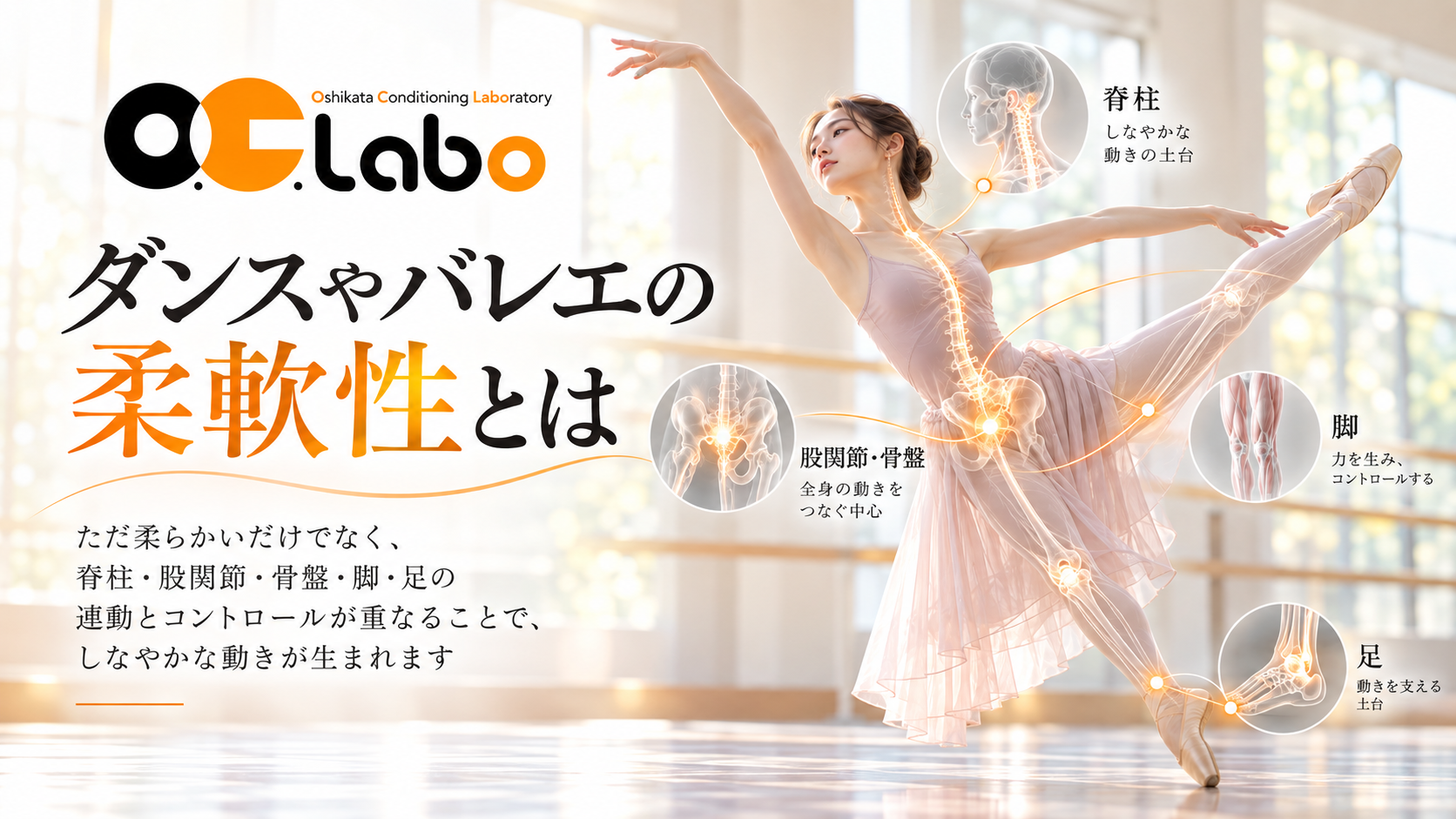 ダンサー・バレリーナの柔軟性を、支えながら使える範囲として捉えるイメージ