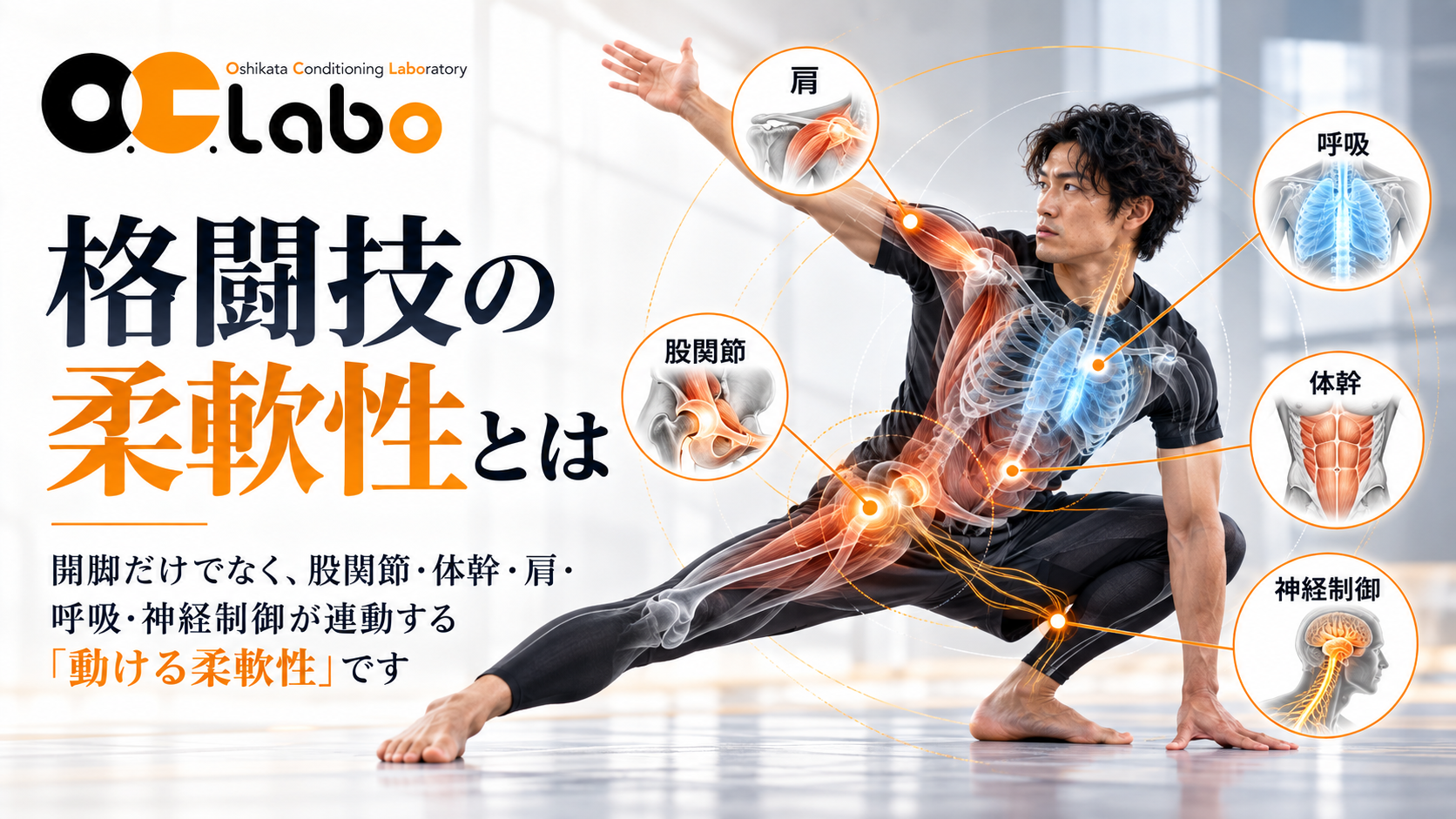 格闘技の柔軟性とは