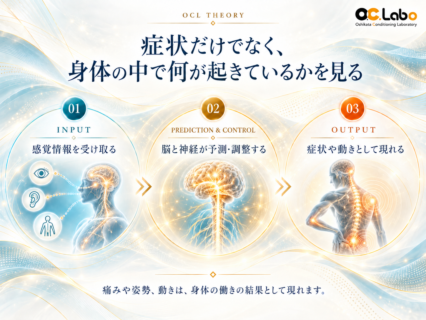 柔軟性の悩みを、痛みや動かしにくさが出る動きから整理するO.C.Laboの考え方